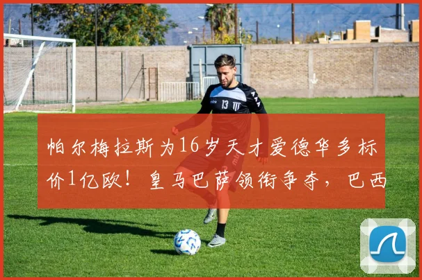 帕尔梅拉斯为16岁天才爱德华多标价1亿欧!皇马巴萨领衔争夺,巴西新星技术特点与未来前景全解析
